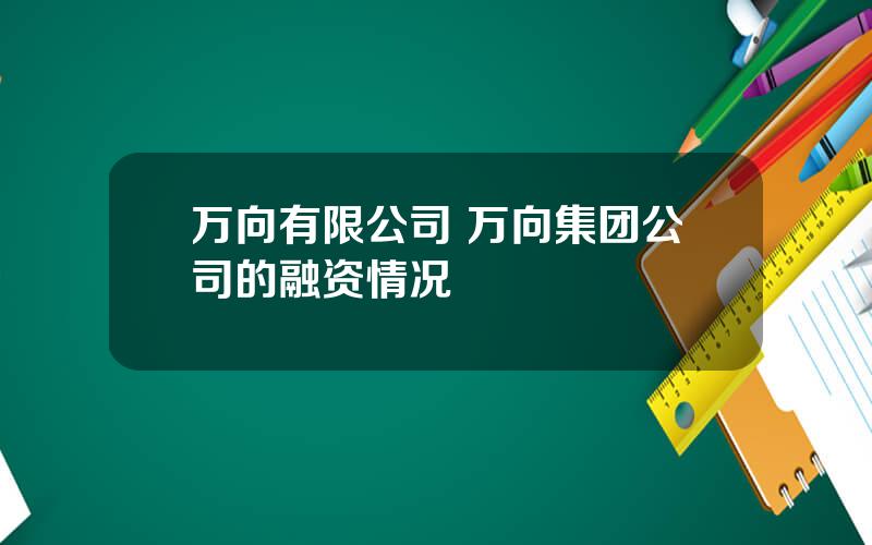 万向有限公司 万向集团公司的融资情况